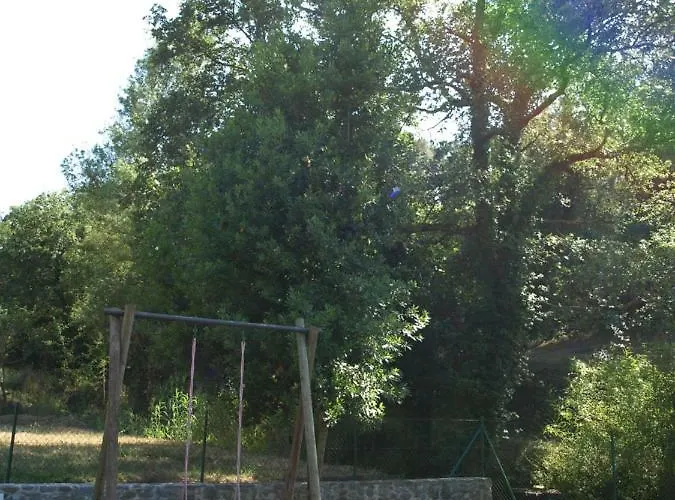 Dalemus * Massanet De La Selva
