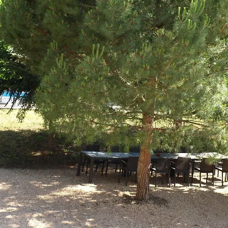 Dalemus Massanet De La Selva