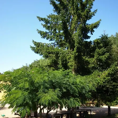 Country house Dalemus Massanet De La Selva